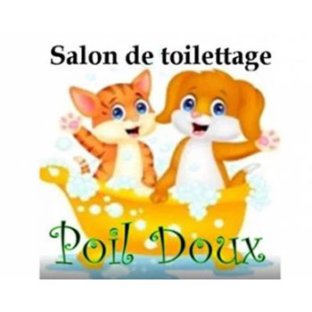 Salon de Toilettage Poil Doux