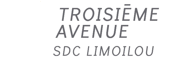 Société de développement commercial 3e Avenue Limoilou